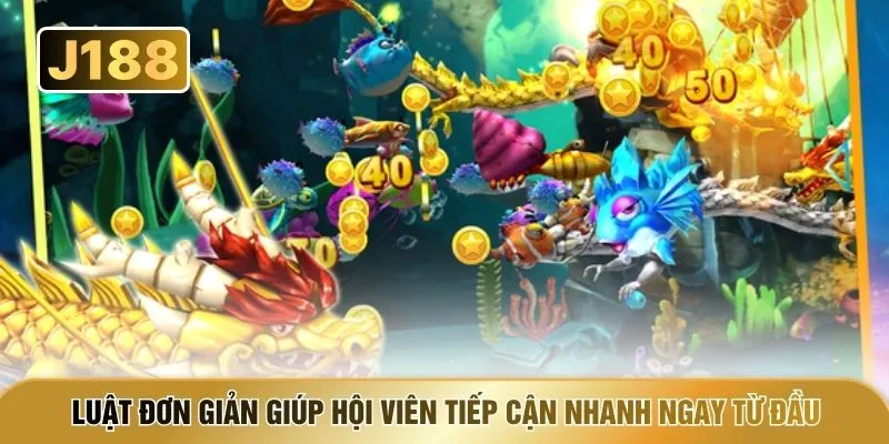 Luật đơn giản giúp hội viên tiếp cận nhanh ngay từ đầu
