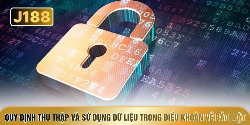 Quy định thu thập và sử dụng dữ liệu trong điều khoản về bảo mật